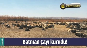 BATMAN &Ccedil;AYI KURUDU!