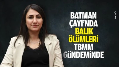 Batman &Ccedil;ayı&rsquo;nda balık &ouml;l&uuml;mleri TBMM g&uuml;ndeminde