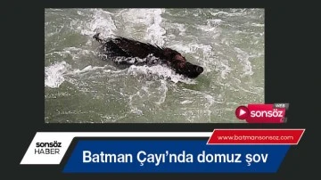 Batman &Ccedil;ayı&rsquo;nda domuz şov