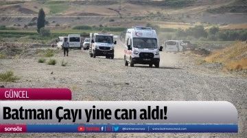 Batman &Ccedil;ayı yine can aldı!