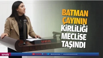 Batman &Ccedil;ayının kirliliği meclise taşındı
