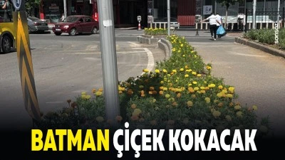 Batman &ccedil;i&ccedil;ek kokacak