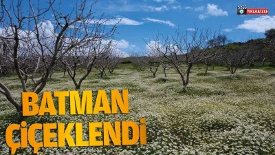 Batman &ccedil;i&ccedil;eklendi