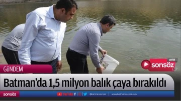 Batman'da 1,5 milyon balık &ccedil;aya bırakıldı