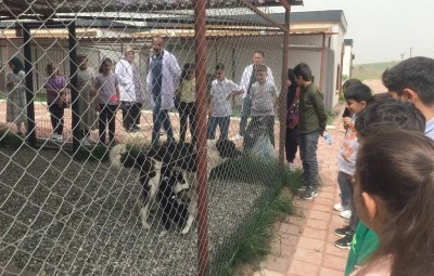 Batman&rsquo;da 1030 hayvan tedavi edildi
