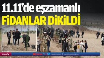 Batman&rsquo;da 11.11&rsquo;de eşzamanlı fidanlar dikildi
