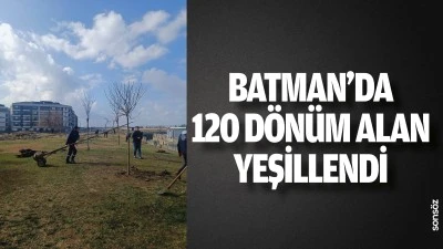 Batman&rsquo;da 120 d&ouml;n&uuml;m alan yeşillendi