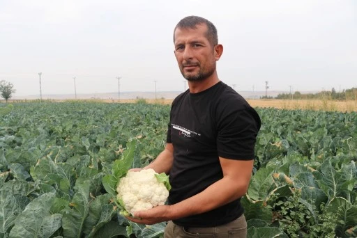 Batman&rsquo;da 151 &ccedil;ift&ccedil;iye 1 milyonluk destek&hellip;