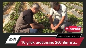 Batman'da 16 &ccedil;ilek &uuml;reticisine 250 Bin lira&hellip;