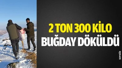 Batman&rsquo;da 2 ton 300 kilo buğday d&ouml;k&uuml;ld&uuml;