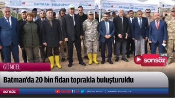 Batman'da 20 bin fidan dikildi 