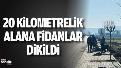 Batman'da 20 kilometrelik alana fidanlar dikildi