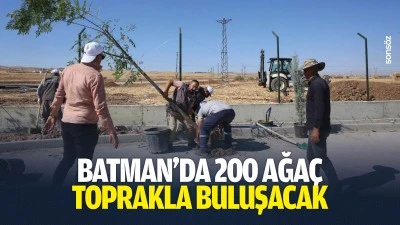 Batman&rsquo;da 200 ağa&ccedil; toprakla buluşacak