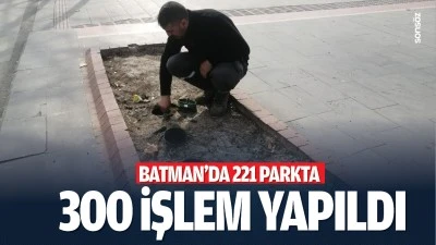 Batman&rsquo;da 221 parkta 300 işlem yapıldı