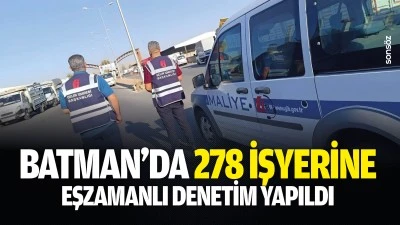 Batman&rsquo;da 278 işyerine eşzamanlı denetim yapıldı