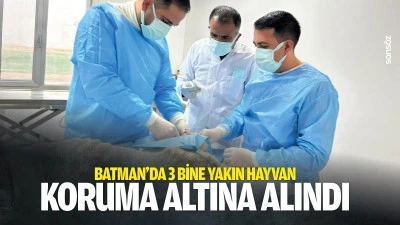 Batman&rsquo;da 3 bine yakın hayvan, koruma altına alındı