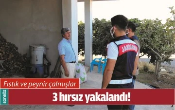 BATMAN'DA 3 HIRSIZ YAKALANDI!