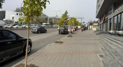 Batman&rsquo;da 3 noktaya 49 ağa&ccedil; dikildi