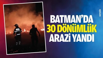Batman&rsquo;da 30 d&ouml;n&uuml;ml&uuml;k arazi yandı