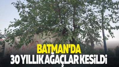 Batman&rsquo;da 30 yıllık ağa&ccedil;lar kesildi