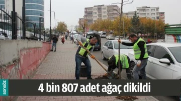 BATMAN&rsquo;DA 4 BİN 807 ADET AĞA&Ccedil; DİKİLDİ