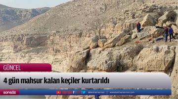 Batman'da 4 g&uuml;n mahsur kalan ke&ccedil;iler kurtarıldı