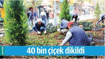 BATMAN&rsquo;DA 40 BİN &Ccedil;İ&Ccedil;EK DİKİLDİ