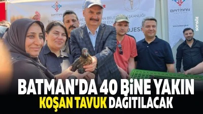 Batman&rsquo;da 40 bine yakın koşan tavuk dağıtılacak