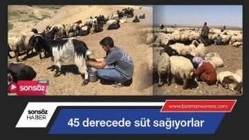 Batman'da 45 derecede s&uuml;t sağıyorlar