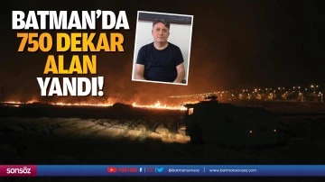 Batman&rsquo;da 750 dekar alan yandı!