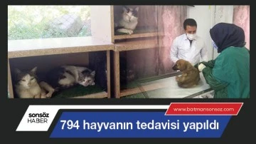 Batman'da 794 hayvanın tedavisi yapıldı