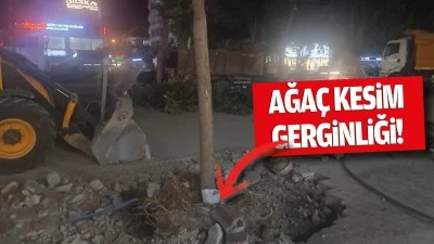 Batman&rsquo;da ağa&ccedil; kesim gerginliği!