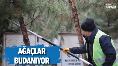Batman&rsquo;da ağa&ccedil;lar budanıyor