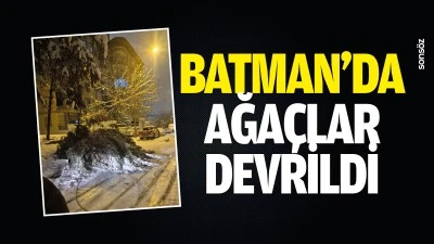 Batman&rsquo;da ağa&ccedil;lar devrildi