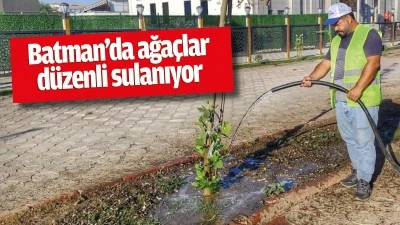 Batman&rsquo;da ağa&ccedil;lar d&uuml;zenli sulanıyor