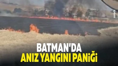 Batman&rsquo;da anız yangını paniği