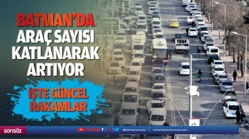 Batman&rsquo;da ara&ccedil; sayısı katlanarak artıyor! İşte g&uuml;ncel rakamlar