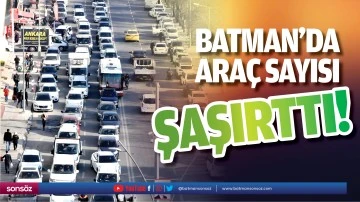 Batman&rsquo;da ara&ccedil; sayısı şaşırttı!