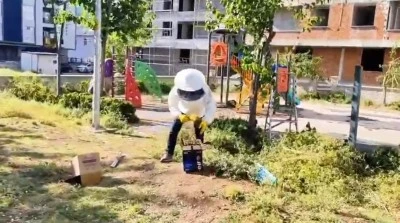 Batman&rsquo;da arı kolonisi taşındı