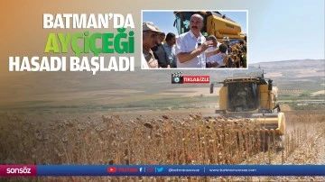 Batman&rsquo;da ay&ccedil;i&ccedil;eği hasadı başladı