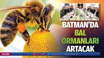 Batman&rsquo;da bal ormanları artacak