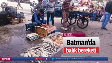 Batman&rsquo;da balık bereketi&hellip;
