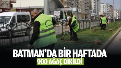 Batman&rsquo;da bir haftada 900 ağa&ccedil; dikildi