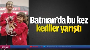 Batman&rsquo;da bu kez kediler yarıştı