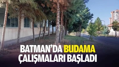 Batman&rsquo;da budama &ccedil;alışmaları başladı