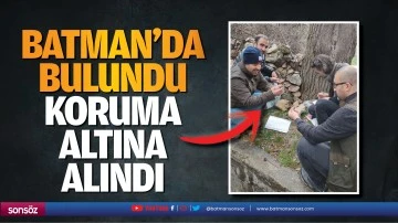 Batman&rsquo;da bulundu koruma altına alındı