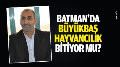 Batman&rsquo;da b&uuml;y&uuml;kbaş hayvancılık bitiyor mu?