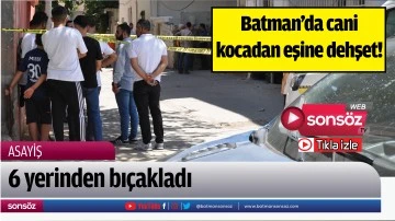 Batman&rsquo;da cani kocadan eşine dehşet! 6 yerinden bı&ccedil;akladı