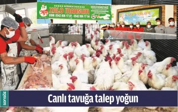 BATMAN'DA CANLI TAVUĞA TALEP YOĞUN