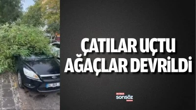 Batman'da &ccedil;atılar u&ccedil;tu, ağa&ccedil;lar devrildi